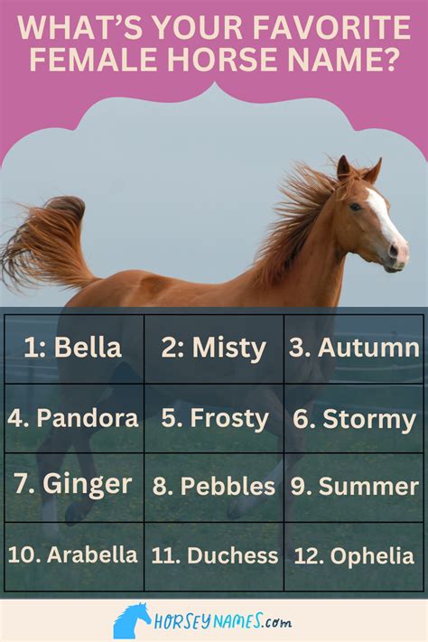 220 Aesthetic Horse Names That Are Beautiful And Elegant With Generator 220 Aesthetic Horse Names That Are Beautiful And Elegant With Generator