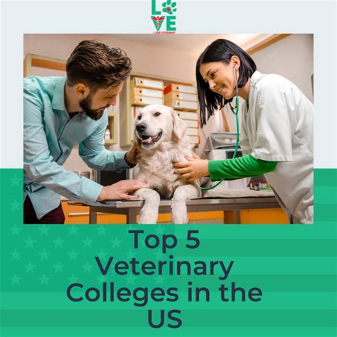 5 Top Vet Schools In The Us I Love Veterinary 5 Top Vet Schools In The Us I Love Veterinary
