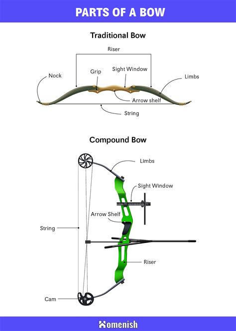 7 Parts Of A Bow Explained With Diagram Homenish 7 Parts Of A Bow Explained With Diagram Homenish