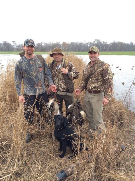 Arkansas Duck Hunting Arkansas Waterfowl Guide Commanders Corner Arkansas Duck Hunting Arkansas Waterfowl Guide Commanders Corner