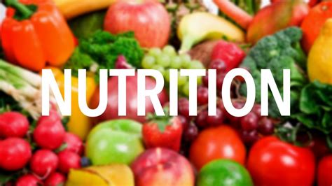 5 Best Nutrition Programs