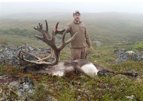 Bucket List Caribou Western Hunter Bucket List Caribou Western Hunter