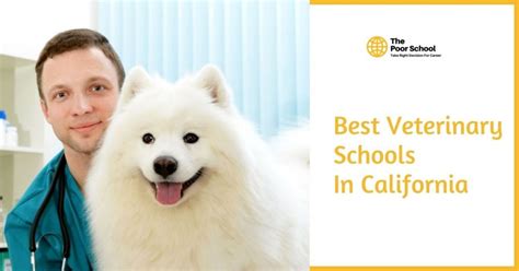 California Vet School Options