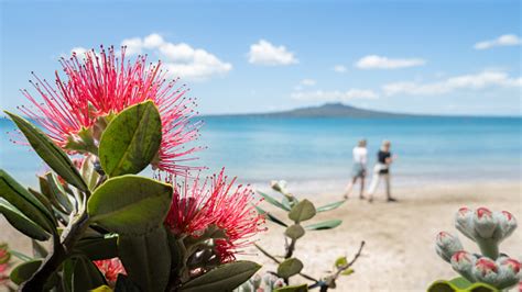 5 Ways Christmas NZ
