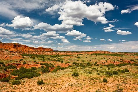 Eccie West Texas Review
