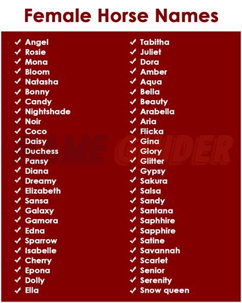 Female Horse Names