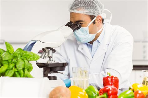 Food Scientist Technologist Career Guide
