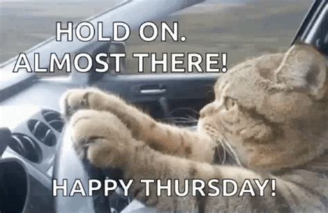 Funny Thursday Gifs Gifdb Com Funny Thursday Gifs Gifdb Com