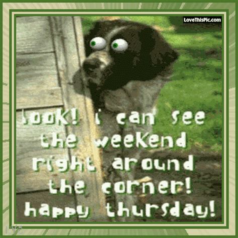 Funny Thursday Gifs