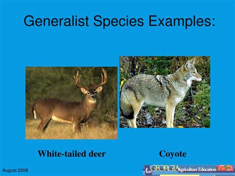 Generalist Species Examples Generalist Species Examples