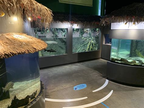 Great Lakes Aquarium Great Lakes Aquarium