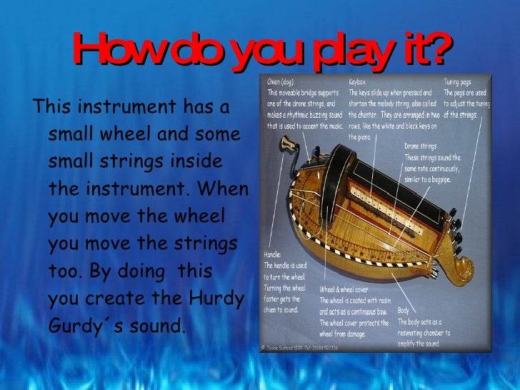 5 Hurdy Gurdy Facts