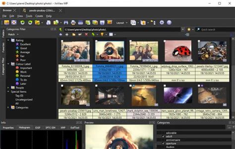 Irfanview Alternatives For Android Top 3 Image Viewers Image Editors Irfanview Alternatives For Android Top 3 Image Viewers Image Editors