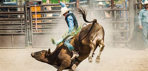 New Mexico Bull Fiesta Tickets Roadrunner Tours Arena 05 25 2025 New Mexico Bull Fiesta Tickets Roadrunner Tours Arena 05 25 2025
