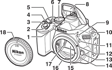 Nikon D5600 Digital Camera Manual Manualslib Nikon D5600 Digital Camera Manual Manualslib