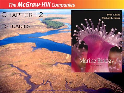 Pdf Estuaries Ppt Dokumen Tips Pdf Estuaries Ppt Dokumen Tips