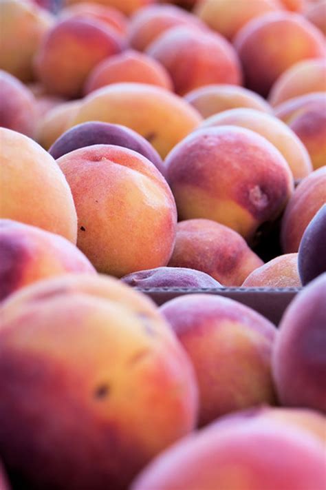 Peach Days 2024 Brigham City Anthia Bellanca Peach Days 2024 Brigham City Anthia Bellanca