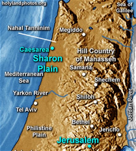 Plain Of Sharon Map Israel Mapcarta Plain Of Sharon Map Israel Mapcarta