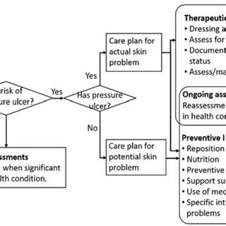 Pressure Ulcer Care Team Diagram Pressure Ulcer Care Team Diagram