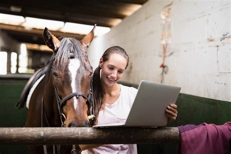 The Best Online Schools For A Bachelor Of Science In Equine Studies The Best Online Schools For A Bachelor Of Science In Equine Studies