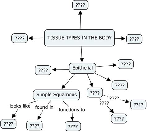 Tissue Concept Map Guide