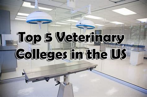 Top 5 Veterinary Colleges In The Us I Love Veterinary Top 5 Veterinary Colleges In The Us I Love Veterinary