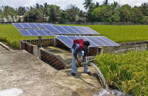 Top 5 Ways Agricultural Farms Benefit From Solar Power Solarclue Top 5 Ways Agricultural Farms Benefit From Solar Power Solarclue