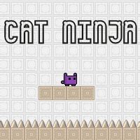 5 Cat Ninja Moves
