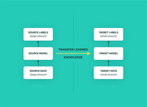 What Is Transfer Learning Examples Newbie Friendly Guide What Is Transfer Learning Examples Newbie Friendly Guide